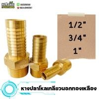 ราคา ข้อต่อทองเหลือง (ขนาด 4 หุน - 1 นิ้ว) หางปลาไหลทองเหลือง หางปลาไหลเกลียวนอก ทองเหลือง (17898110208)