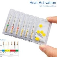 ราคา ทันตกรรมนิกเกิล Titainium Gold Root Canal File Endo Rotary Super Files Golden Endodontic Files Nickel Titainium Instrument ทันตแพทย์. (29893940950)
