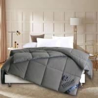 ราคา ผ้านวมขนเป็ดเทียม HILTON 6.5 ฟุต (22151784862)