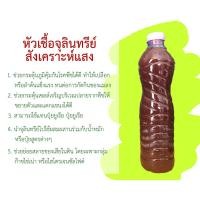 ราคา จุลินทรีย์สังเคราะห์แสง PSB หมักมากกว่า 1 เดือน ขนาดบรรจุ 600mL (11827990792)