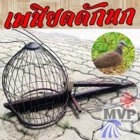 ราคา เพนียดดักนก นกเขาชานเดี่ยว (23706003934)