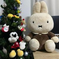 ราคา Miffy Brown 50cm. Japan Plush doll กระต่ายมิฟฟี่ ตุ๊กตามิฟฟี่ตัวใหญ่ (25752884908)