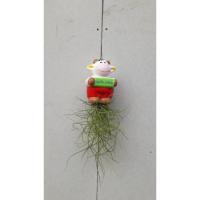 ราคา #เคราฤาษีแขวนตุ๊กตาเซรามิค (23557621533)