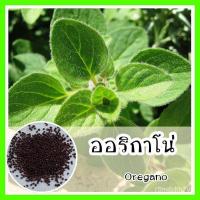 ราคา (ราคาขายส่ง)พร้อมส่ง ❗ เมล็ดพันธุ์แท้ OP แท้ 100 % ออริกาโน่ แท้ดั้งเดิม - พันธุ์ Common Oregano Italianเมล็ดผัก ผักสวนค (11139321427)