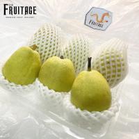 ราคา สาลี่หอม Fragrant Pear (ยกลัง7KG) (CHN) นำเข้า ~ลดพิเศษ~ หอม หวาน อร่อย ! ผลไม้นอก ผลไม้นำเข้า ผลไม้สด (ขายส่ง ราคาส่ง) (7830294205)