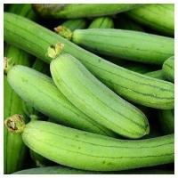 ราคา 10 เมล็ด บวบ บักบวบ ผักพื้นบ้านไทย Non-GMO Sponge Gourd Seeds สายพันธุ์ บวบหอม (40123657004)