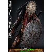 ราคา HOT TOYS TMS114 PREY (2022) FERAL PREDATOR (18885981498)