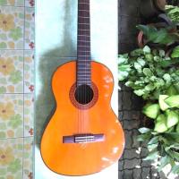 ราคา กีต้าร์คลาสสิค Yamaha C70 (5436996247)
