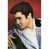 ราคา โปสเตอร์ รูปถ่าย ราชา ร็อก เอลวิส เพรสลีย์ Elvis Presley POSTER 23”x34” American Singer King of Rock and Roll V9 (5602120413)