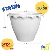 ราคา กระถาง จานรองกระถางบัว ปากจีบ ขนาด 9 นิ้ว สีขาว สีอิฐ (24562638526)