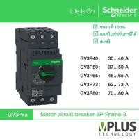 ราคา Schneider TeSys GV3P EverLink Terminals มอเตอร์เบรกเกอร์ - MOTOR CIRCUIT BREAKER GV3P40 GV3P50 GV3P65 GV3P73 GV3P80 (5189671041)