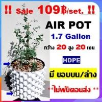 ราคา กระถาง air pot สีขาว 1.7 Gallon กระถางแอร์พอต ปลูก420 (air pot) size 20*20 cm (White) กระถางต้นไม้ กระถางพลาสติก (4167630894)