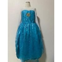 ราคา ชุดแฟนซี ชุดคอสเพลย์เด็ก มือสอง ชุดเจ้าหญิงเอลซ่า 13 (26901557443)