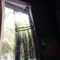 ราคา "ส่งฟรี ร้านโค้ดคุ้ม"ชุดลีลาศผ้าลูกไม้ซีทรูสีดำsize m (40519026563)