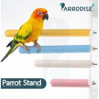 ราคา Parrodise PDS-01 คอนลับเล็บ คอนยืนนกแก้ว คอนนกแก้ว คอนลับเล็บนก คอนลับเล็บชูก้า กระรอก สีพาสเทล (10726674830)