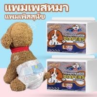 ราคา แพมเพิสสุนัขเมีย ผู้หญิง โอบิสุนัขตัวเมีย โอบิสุนัข แพทเพิสน้องหมา เพศเมีย ซึบซับดี (19507014448)