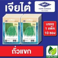 ราคา เมล็ดพันธุ์ ผักซอง ถั่วแขก ตราเจียไต๋ CT15 บรรจุแพ็คละ 10 ซอง (26079676778)