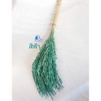 ราคา Rarin‼️พร้อมส่ง‼️ดอกรวงข้าว ( สีฟ้า ) ดอกไม้แห้ง ขนาด 1 กำ ใช้ตกแต่ง ตามโต๊ะอาหาร ร้านกาแฟ (23114973178)