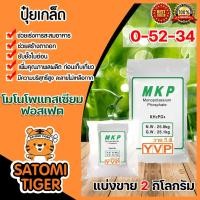 ราคา ปุ๋ยเกล็ด 0-52-34 โมโนโพแทสเซียมฟอสเฟต(MKP วายวีพี) แบ่งขาย แพ็ค 2 กิโลกรัม ปุ๋ยฟอสเฟต แม่ปุ๋ยโมโน ปุ๋ยฟอสเฟต ปุ๋ยสร้าง (13647644854)