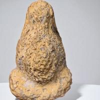 ราคา พระปิดตา หลวงปู่ยิ้ม วัดหนองบัว พระเครื่อง (22244422604)