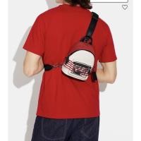 ราคา Coach คาดอก 6”x8” มิกกี้ (19131736847)