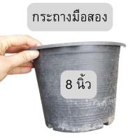 ราคา กระถาง 8 นิ้ว มือสอง มือ2 (17095587008)