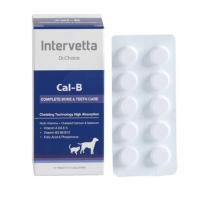 ราคา ส่งฟรี Dr. Choice Cal-B แคลเซียม บำรุงกระดูก (18581151732)