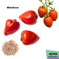 ราคา เมล็ดพันธุ์มะเขือเทศหัวใจ บรรจุ 50 เมล็ด (40977216663)