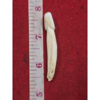 ราคา ปลัดขิกหลวงพ่ออี๋วัดสัตห*บ เนื้อเขี้ยวแกะโค๊ตตราพระอินทร์ จังหวัดชลบุรีผ่านพิธีปลุกเสกแล้ว (40052966853)