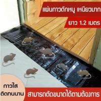 ราคา ส่งเร็วมากกาวดักหนูแผ่นใหญ่ กาวดักหนู แผ่นกาวดักหนูสำเร็จรูป ขนาด120*28CM แผ่นกาวดักหนู กาวดักหนู กาวดักหนูในบ้าน (23681478771)