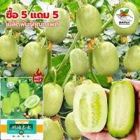 ราคา 10 เมล็ด ซื้อ 5 แถม 5 ฟรี แตงกวาลูกดก เมล็ดพันธุ์แตงกวาลูกดก งอกง่าย โตไว ผลดกมากก ผลแตงกวาสด แตงกวาไร้หนาม (42224328197)