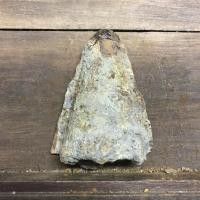 ราคา ไถโบราณ ผาลไถมือสอง ใบผาลเก่า ผาลไถโบราณ ผาลไถนา ผานไถ สบไถ สบไถนาโบราณ วัตถุอาถรรพ์ ของสะสม ของหายาก ใบผาล ของสะสม (20504139877)