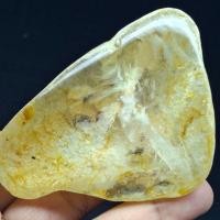 ราคา หินแก้วโป่งข่ามก้อนดิบ กาบทอง พิรุณเงิน แผ่นแร่สีทอง น้ำใส ก้อนใหญ่ สวยมาก (47454468787)