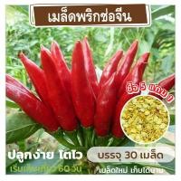 ราคา เมล็ดพันธุ์ พริกช่อจีน แบ่งขาย 30 เมล็ด (ซื้อ 5 แถม 1)✨ คละชนิดได้ (25902901019)