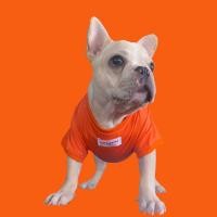 ราคา เสื้อน้องหมาน้องแมว - สีส้ม (17921497603)