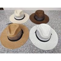 ราคา หมวกปานามาพร้อมส่งในไทยค่ะ (7352230000)