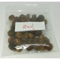 ราคา เมล็ดพันธุ์มันปู นกนอนทะเล มันปูใหญ่ ผักพื้นบ้านไทย(ภาคใต้) ผักกินใบ ผักเหนาะ ผักเคียง ยอดมันปู ต้นมันปู 50 เมล็ด (6312979754)