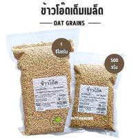 ราคา ข้าวโอ๊ตแบบหุง ข้าวโอ๊ตเต็มเมล็ด หุงอร่อย OAT GRAINS (27152693657)