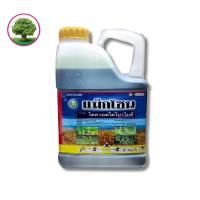 ราคา สารไดควอตไดโบรไมด์ แม๊กโซนหวีทองขนาด 4 ลิตร (41157430095)