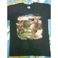 ราคา เสื้อยืด ART DINO TAG BY ANVIL (21888860226)