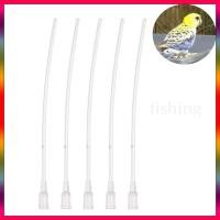 ราคา สายป้อนลูกป้อน สายป้อนนกแก้ว หงษ์หยก ฟอพัส เลิฟเบิร์ด ค๊อกคาเทล กรีนชีค สำหรับนกขนาดเล็ก-กลาง สายต่อไซริงค์ (24415636776)