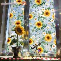 ราคา สติ๊กเกอร์ติดหน้าต่าง HGOUGVT, สติ๊กเกอร์ติดกระจก PVC Sunlight Catcher, สติ๊กเกอร์ติดกระจกไฟฟ้าสถิตแบบมีกาวในตัว ตกแต่งผนัง (48103078014)