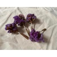 ราคา ช่อดอกไม้สแตติสแห้งจิ๋ว (20194747680)