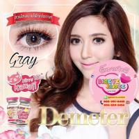 ราคา KittyKawaii Demeter Eff.19 Gray ใหญ่ (24776685954)