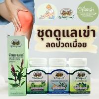 ราคา ชุดดูแลเข่า ลดปวดเมื่อย สินค้าจากอภัยภูเบศร (26439671500)