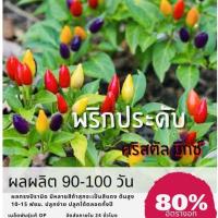 ราคา เมล็ดพันธ์ุ พริกประดับสายรุ้ง คริสตัลมิกซ์ พริก (ซื้อ 10 แถม 1 คละอย่างได้) (17004424614)