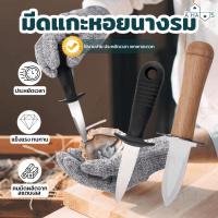 ราคา A HAUS หอยนางรม มีดแกะหอยนางรม ที่แกะหอย ที่แกะหอยนางรม ที่แกะหอยแครง แกะหอยนางรม oyster knife แกะเปลือกหอย ที่แงะหอย (19177305615)