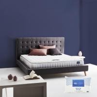 ราคา SB Design Square ที่นอน Lotus รุ่น Northlight II ขนาด 3.5 ฟุต แถมฟรีหมอนหนุน 1 ใบ (24508003163)