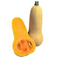 ราคา เมล็ดพันธุ์ผักสวนครัว ฟักทองบัตเตอร์นัท ( ขนาด 3 กรัม ) รหัสสินค้า 6013 (22780420594)