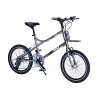 ราคา WCI จักรยานพับได้ 20" Sniper (สีไททาเนียม) (1602410242)